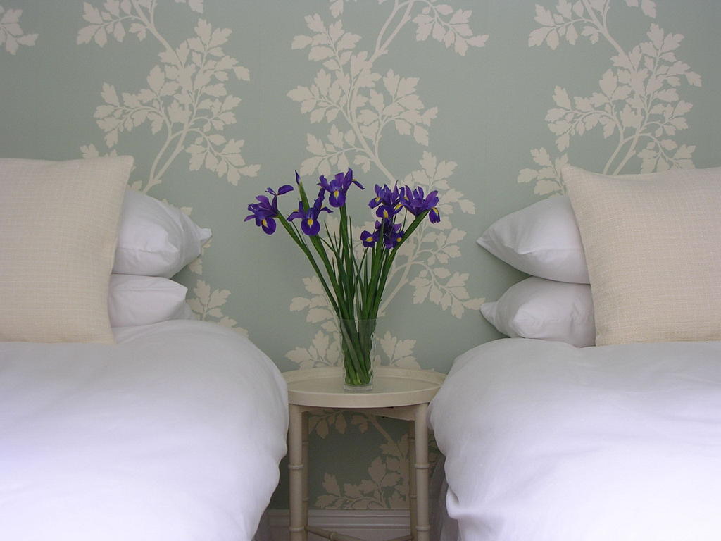 Whitburn Lodge Hove Extérieur photo